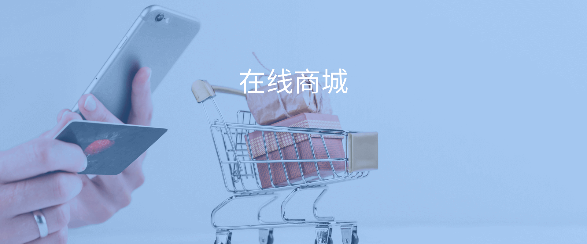 在线商城_产品_软件产品图片