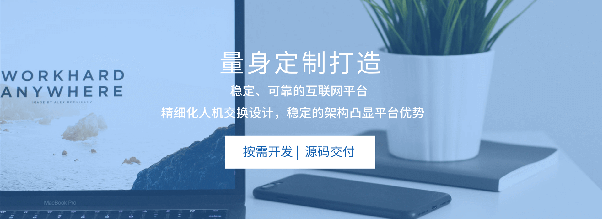 WEB系统定制_定制开发图片